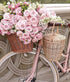 Pink Rose Basket & Bicycle